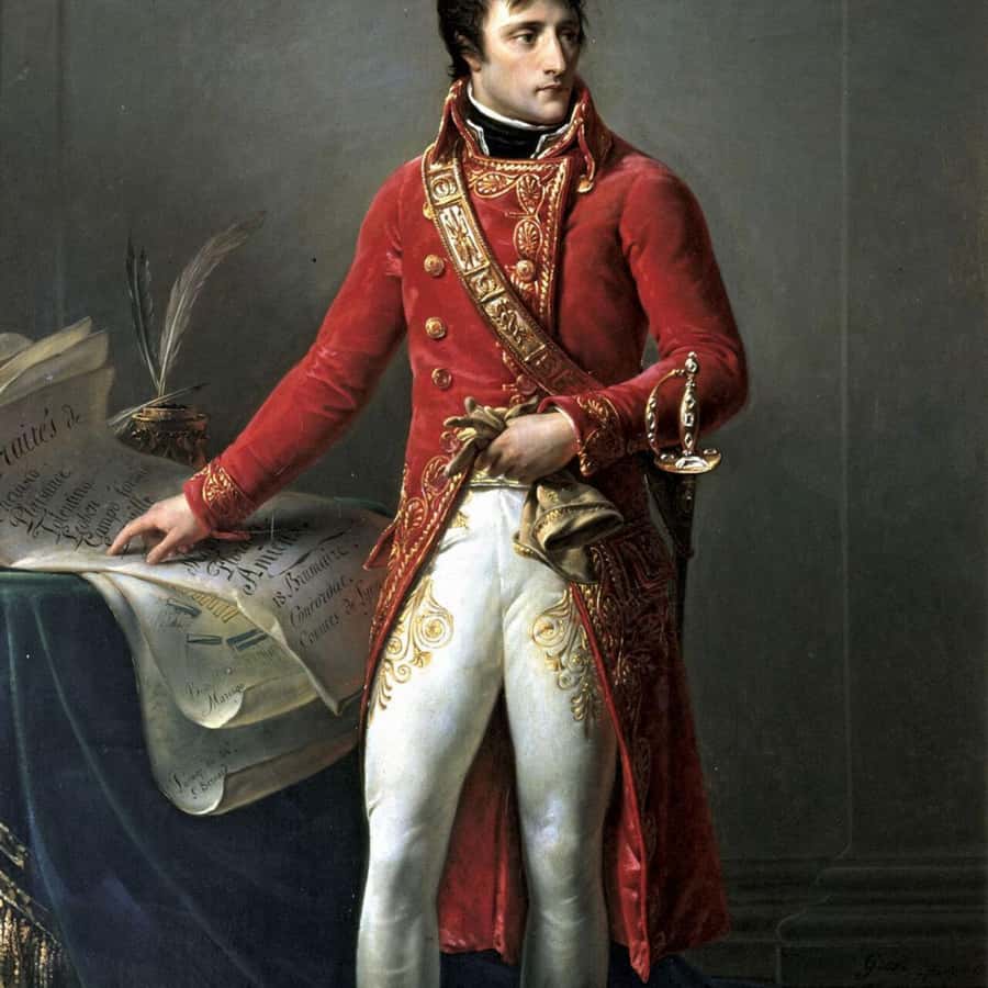 Napoléon's Strategies - Image 7